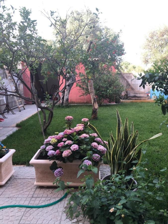 San SperatePaese Museo公寓 外观 照片